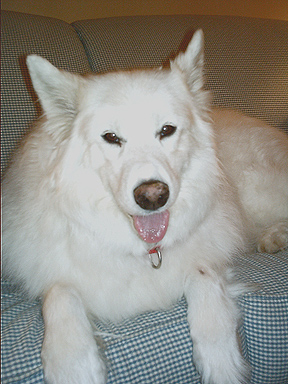photo of Lexi