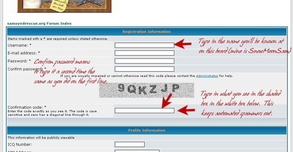 Choose a Username
