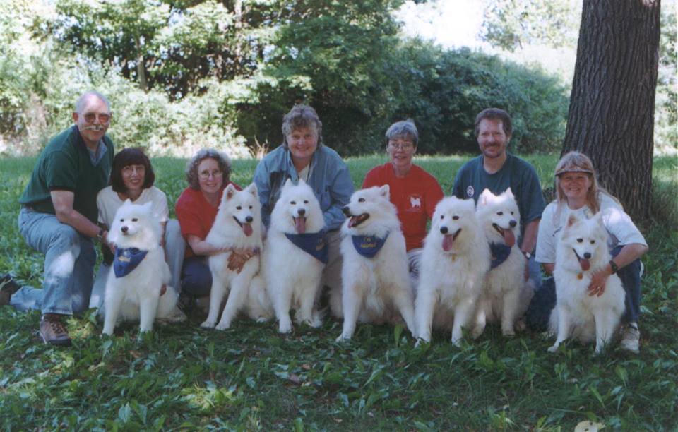 Samoyed Rescue National Samoyed Rescue